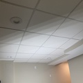 Suspended Ceiling Complete2